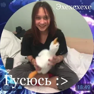 Sticker Собрание гусей - 3