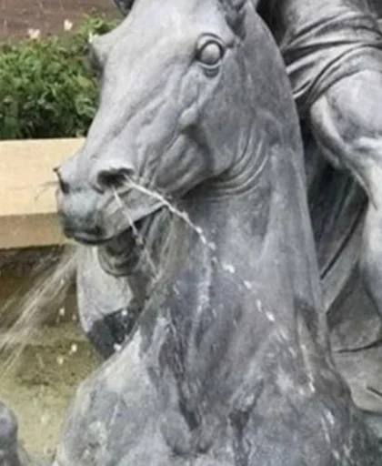 скульптура животное на открытом воздухе