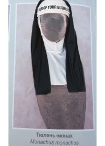 скриншот СМС мода