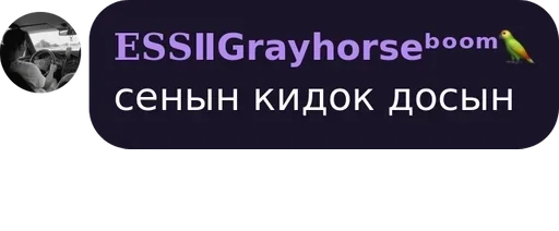 Стикер 𝐄𝐒𝐒𝐏𝐄𝐑𝐀𝐍𝐓𝐎🦜 pack by @QuotLyBot - 10