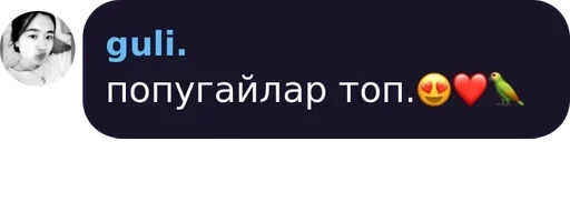 Стикер 𝐄𝐒𝐒𝐏𝐄𝐑𝐀𝐍𝐓𝐎🦜 pack by @QuotLyBot - 3