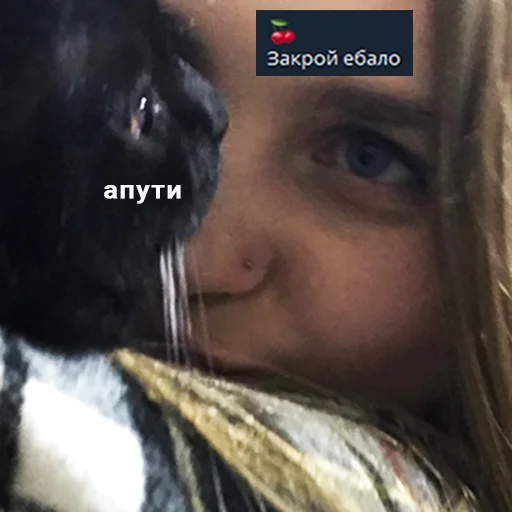 животное Человек млекопитающее