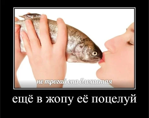 Стикер кайфарик by @fStikBot - 11