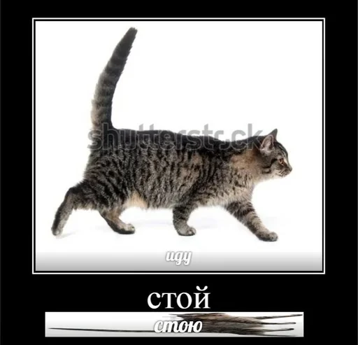 Стикер кайфарик by @fStikBot - 9