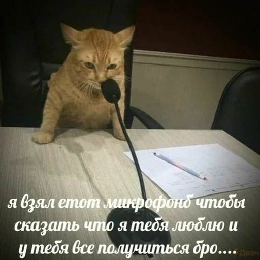 Стикер кайфарик by @fStikBot - 8