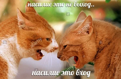 Стикер кайфарик by @fStikBot - 2