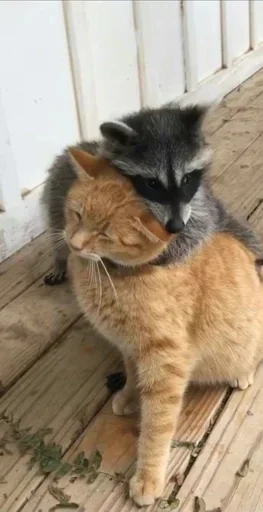 Стикер gwoJAcOQjp_by_WmojiBot - 1