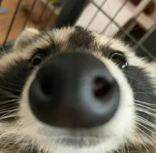 Sticker Стикеры тут 👉 @Femoji - 3