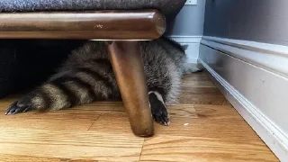 Sticker Стикеры тут 👉 @Femoji - 9