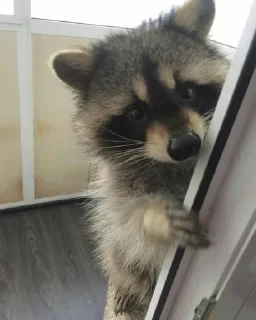 Sticker Стикеры тут 👉 @Femoji - 11