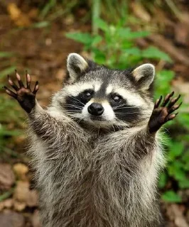 Sticker Стикеры тут 👉 @Femoji - 6