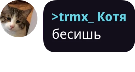 Стикер Проверка pack by @QuotLyBot - 10