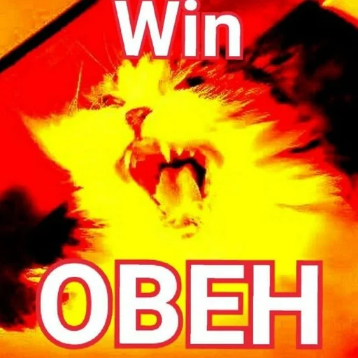 СМС плакат графический дизайн