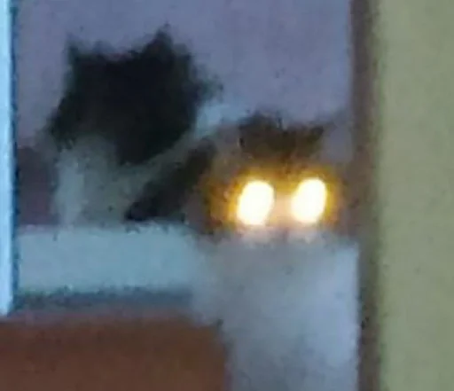 Размыто свет окно