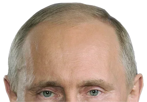 Дичь 1.0 @WeStickerbot - 