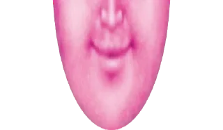 Sticker Дичь 1.0 @WeStickerbot - 5