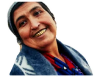 Sticker Gypsy stuck - 2