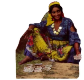 Sticker Gypsy stuck - 3