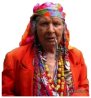 Sticker Gypsy stuck - 1