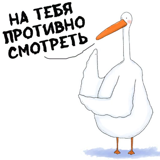 водная птица СМС утка