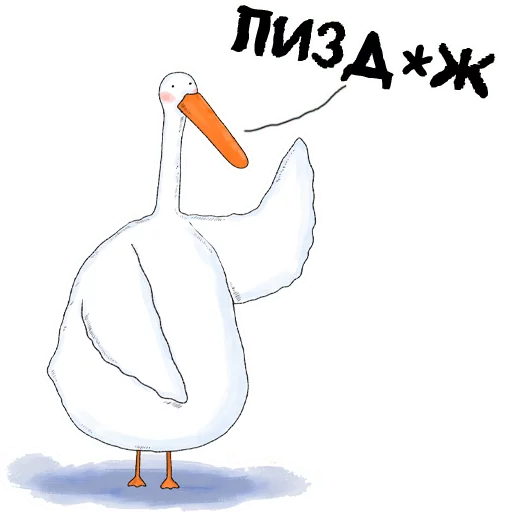 animal aquatic bird bird