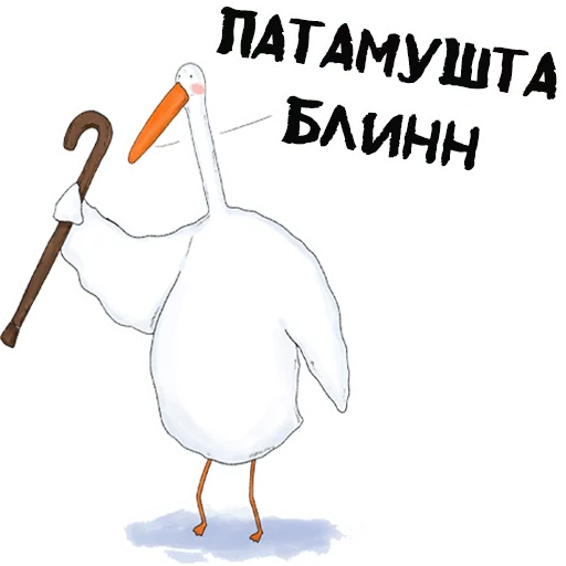 aquatic bird animal cartoon