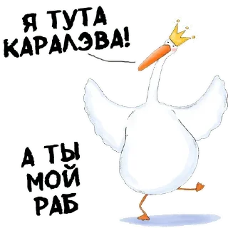 Sticker Гусиха Больше тут 👉 @premiumstikery - 9