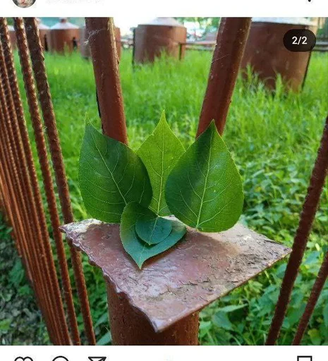 Создать Стикеры 👉@EmojiCatalogbot - 