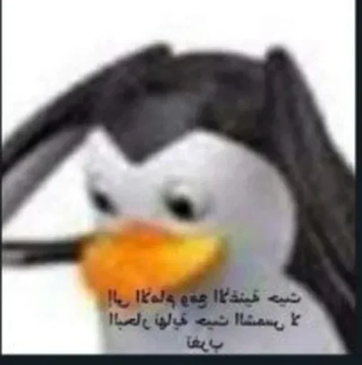 Стикер hCHsJHQueiiVXgXtU_by_stickers_stealer_bot - 1