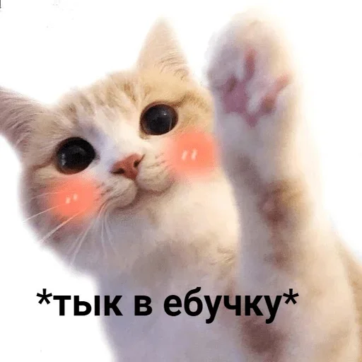 Больше стиков тут: @stikery4 - 