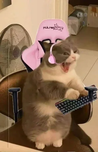 Sticker hPIFzcJ_by_achestickbot - 1