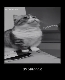 Стикер Больше стиков тут: @stikery4 - 8