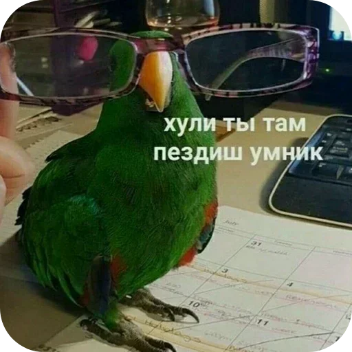 Sticker hWYdOzq_by_achestickbot - 1