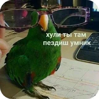 Sticker Больше стиков тут: @stikery4 - 6