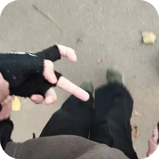 Sticker Больше стиков тут: @stikery4 - 11