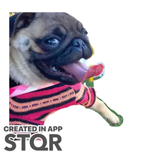 Sticker hYXxRhwExtRR_by_stqr_bot - 1