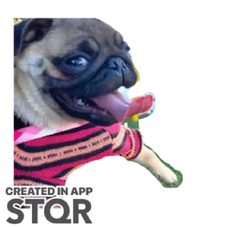 Sticker Мемы на все случи жи by @stqrapp - 11