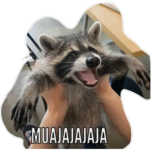 Sticker habemuscoon - 1