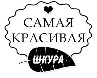 Sticker Стикеры • @DayStikBot - 4