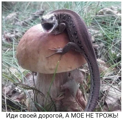 Sticker Стикер пак для Хакера! - 9