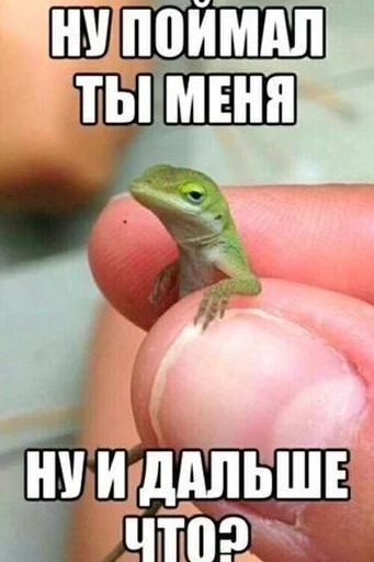 Sticker Стикер пак для Хакера! - 5