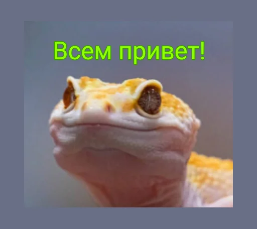Sticker Стикер пак для Хакера! - 3