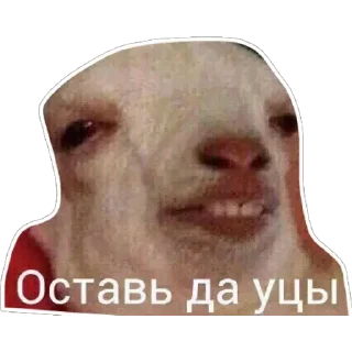 Стикер Стикеры - 7