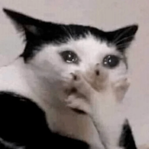 Sticker hahahacringe - 1