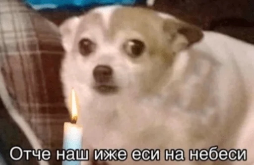 Sticker hahahacringe - 1