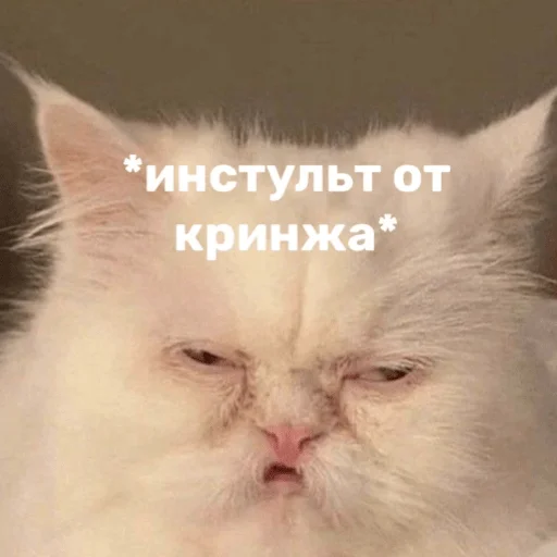 Стикер hahahacringe - 1