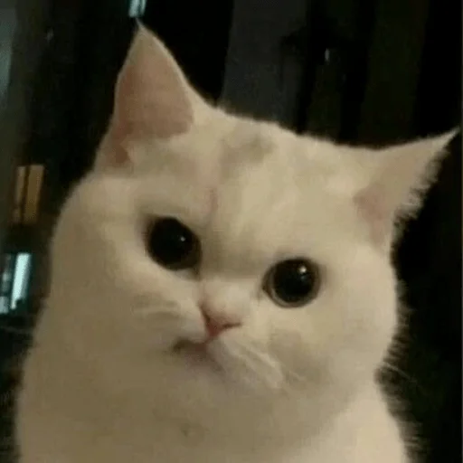 Sticker hahahacringe - 1