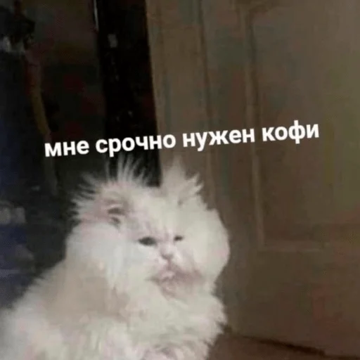 Стикер hahahacringe - 1