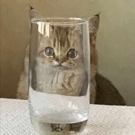 Sticker hahahacringe - 1