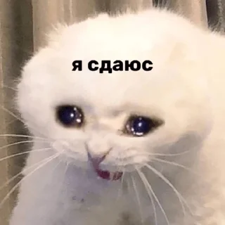 Sticker УЪУЪУЪ - 10